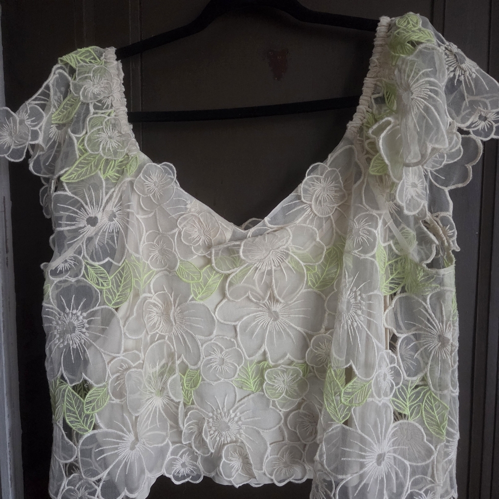 Anthropologie Sheer Applique Top - Ivory/green - XL - NWOT - Picture 5 of 9
